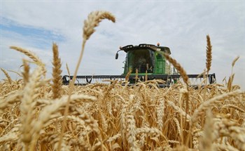 Таджикистан хочет заменить казахские зерновые на российские – льготные